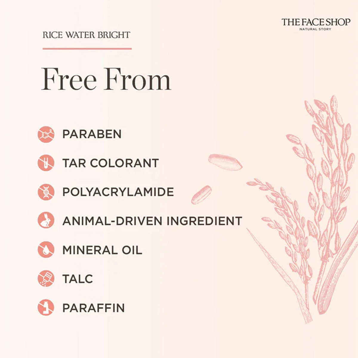 THE FACE SHOP Pirinç Suyu Parl - Luxury Skincare Shop incelemesi ve fiyatı